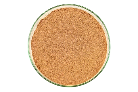 Przyprawa GAŁKA MUSZKATOŁOWA MIELONA